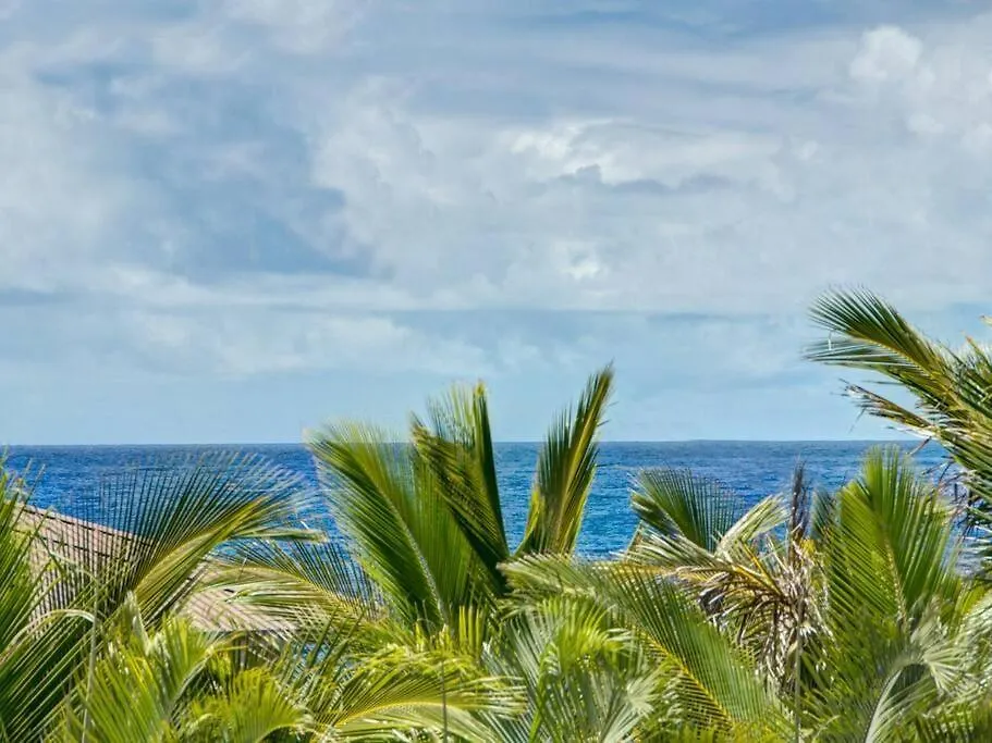 Hawaiian Paradise Keaau Vakantiehuis